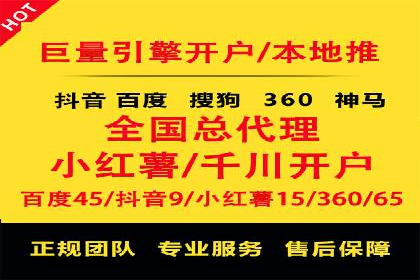 SEM专员的角色与成功案例解析